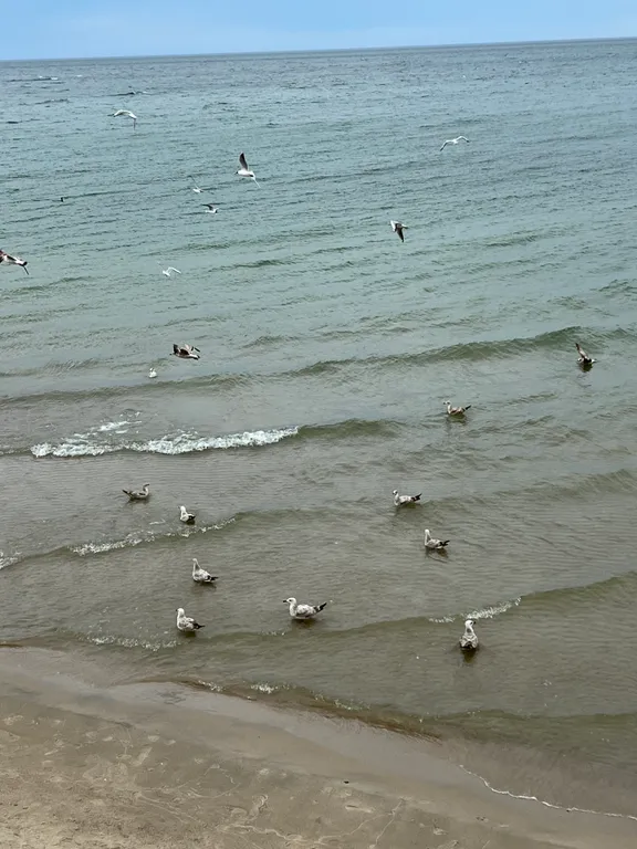 Квартира у моря