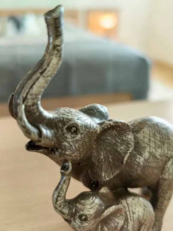 Дом с финской сауной внутри дома с большой беседкой и барбекю