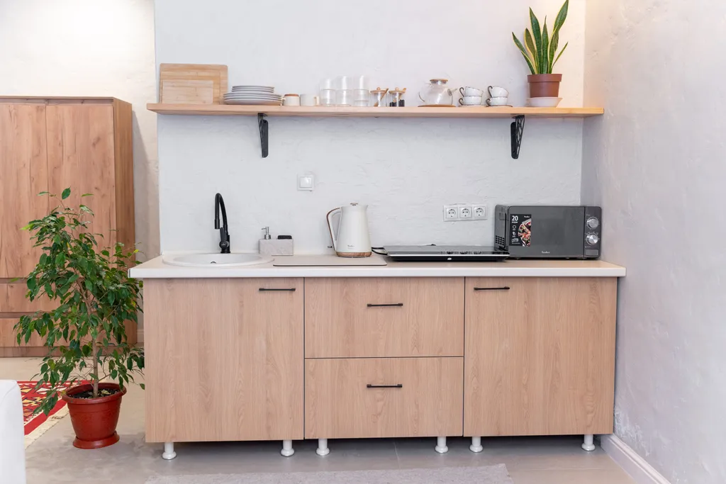 Просторный апартамент с кухней