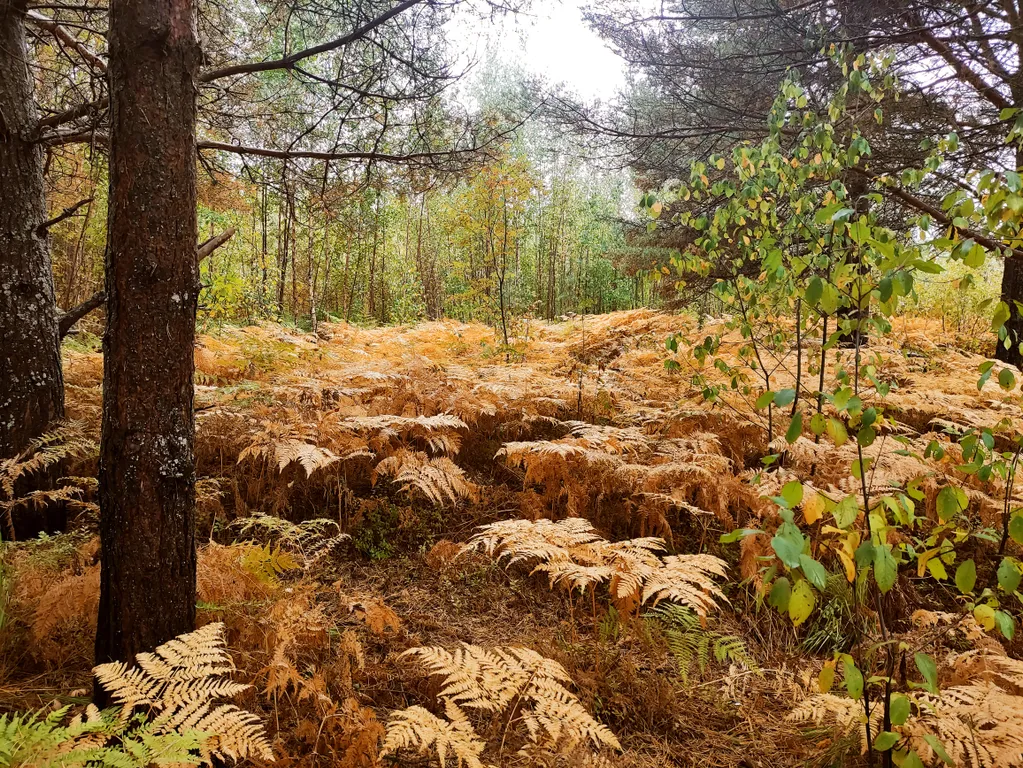 Дом с камином и садом! Две минуты до пляжа!