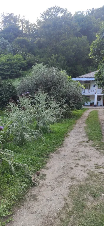 Дом в живописном горном ущелье