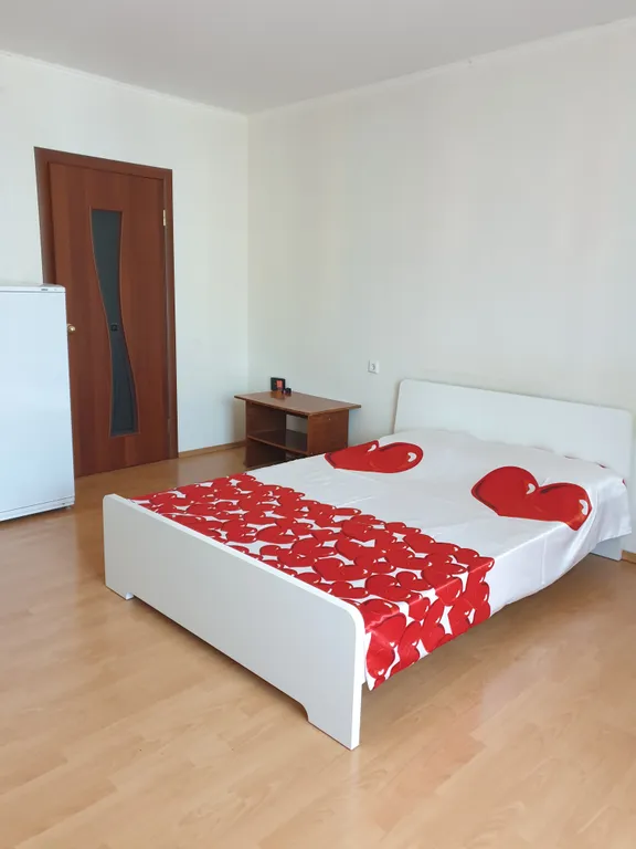 Квартира Квартира Просторная и красивая студия — Пушкин