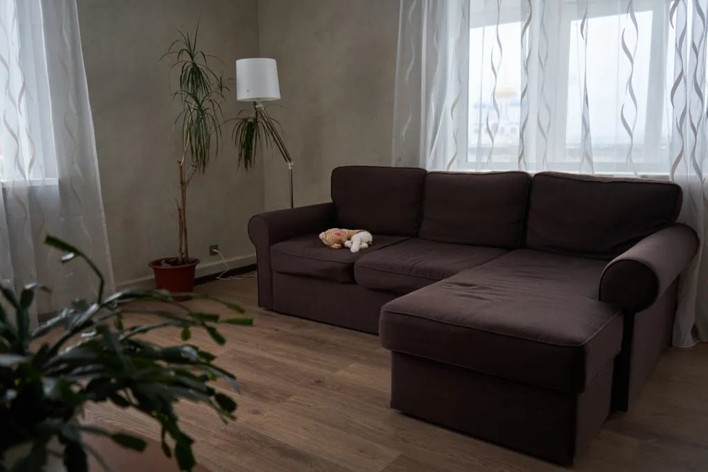 Дом У канатки