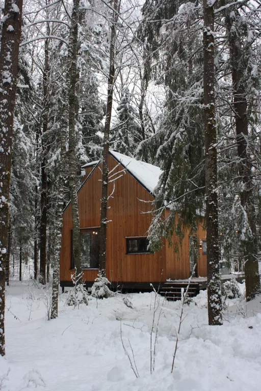 Домик в лесу на берегу Плещеева Озера