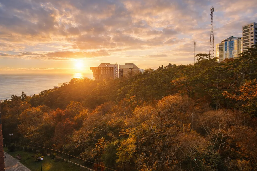 Уютная студия с видом на парк, жк «аврора», зима комфортно