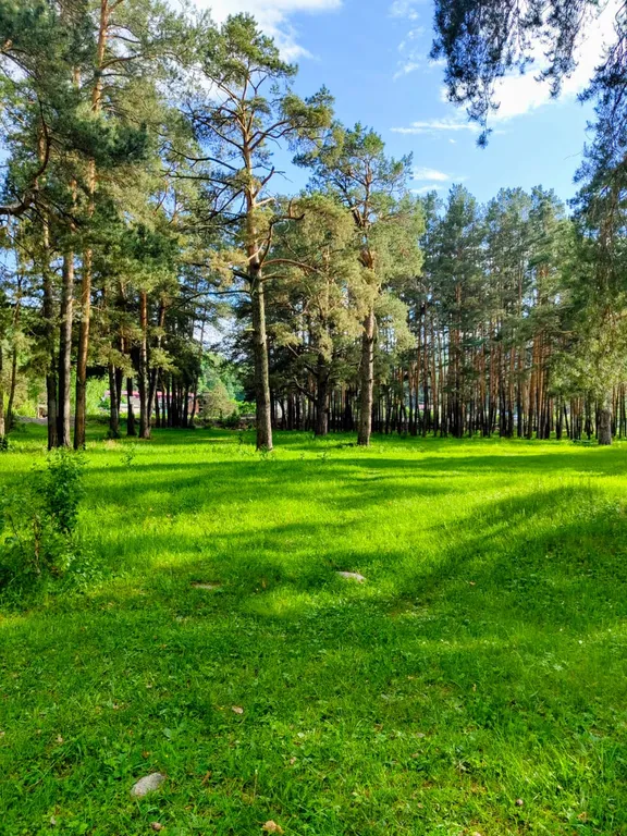 Летний домик