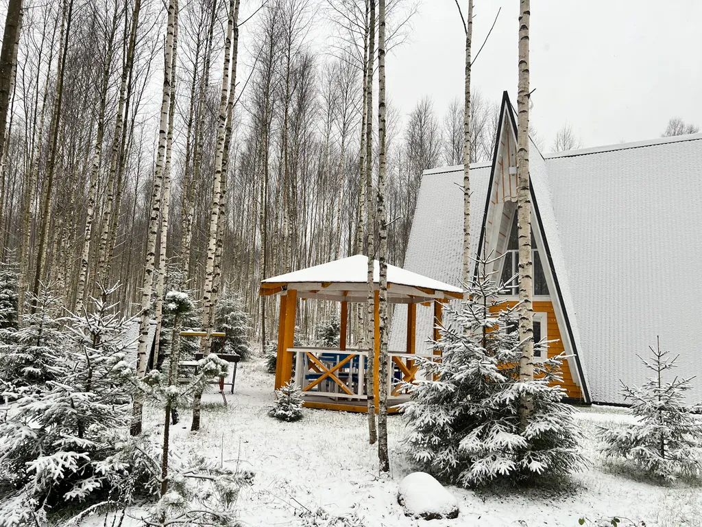 A-Frame с скандинавскими нотками