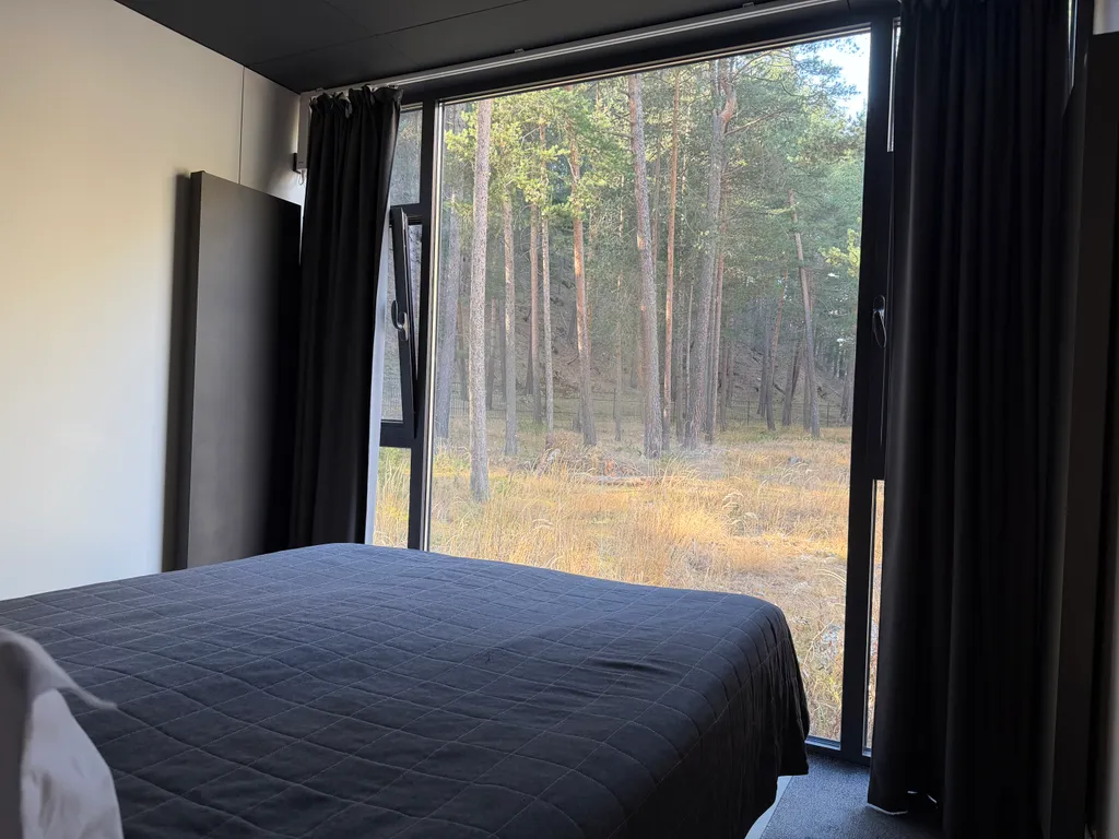 Глэмпинг в лесу