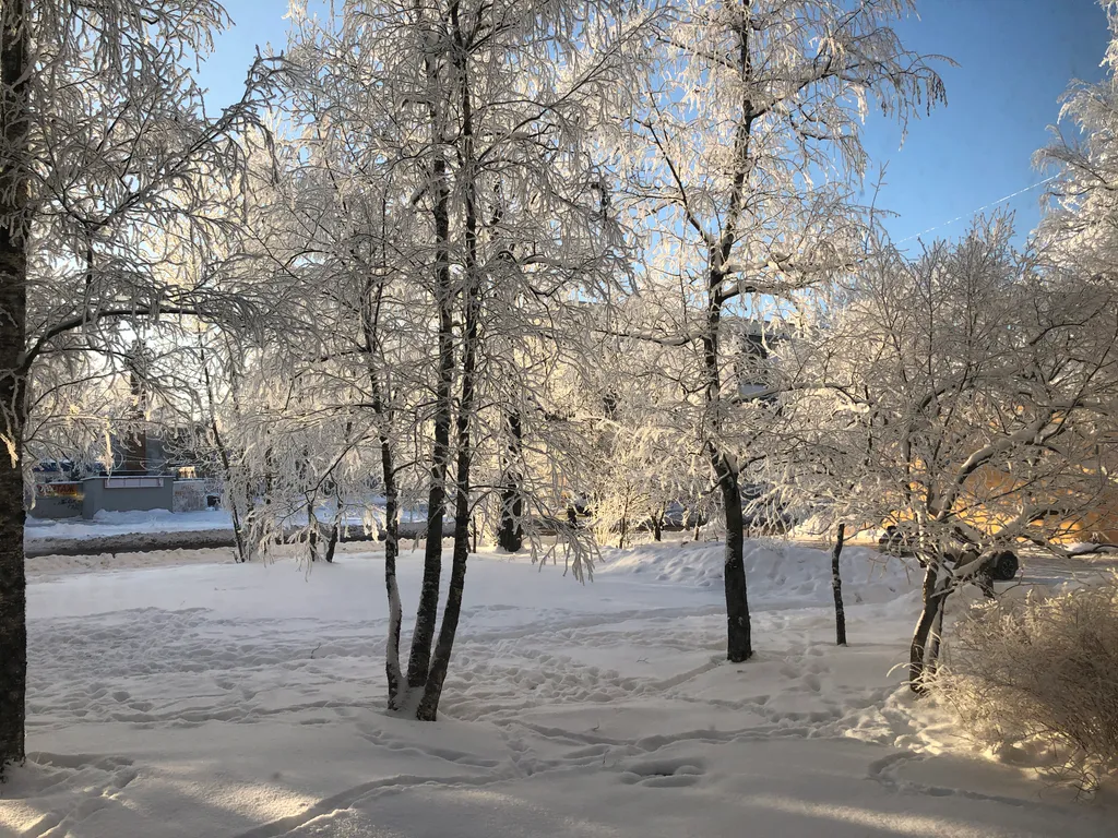 2-комнатная квартира в центре города