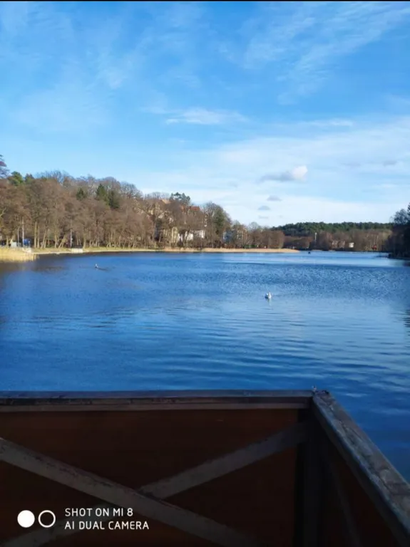 Апартаменты Pinery