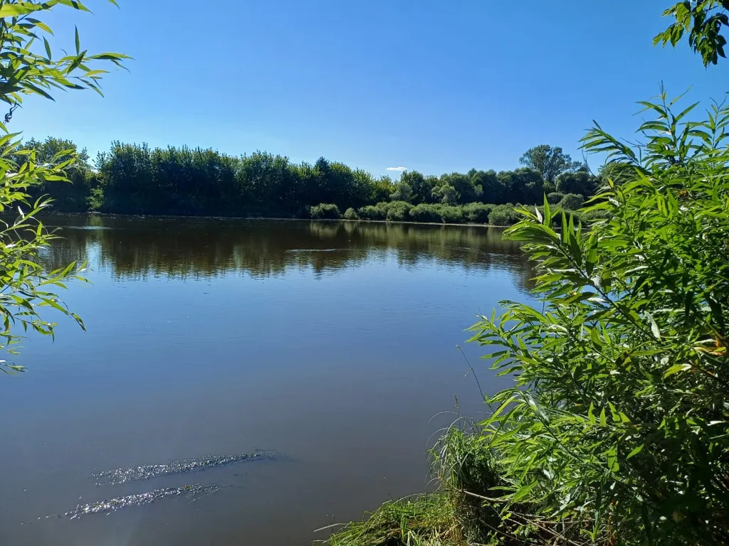 Уютный домик для отдыха