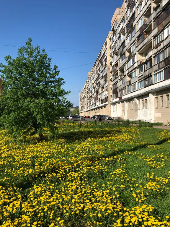 Квартира 1-комнатная Квартира — Санкт-Петербург