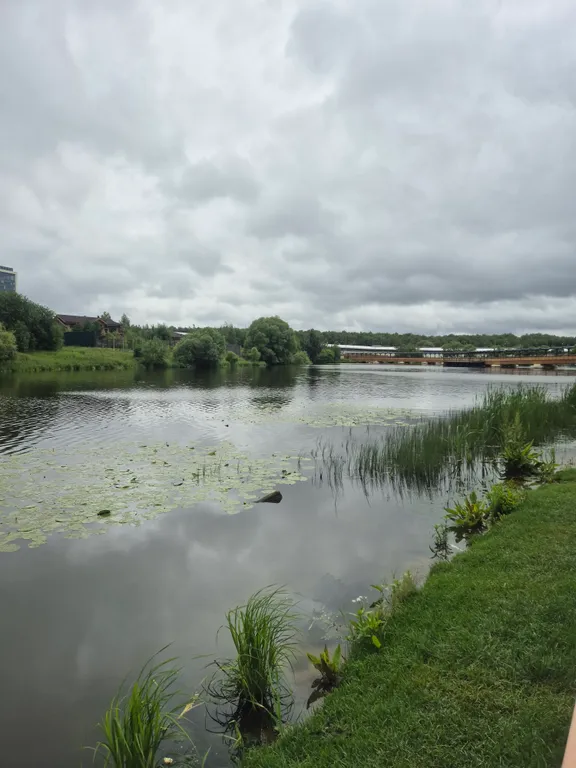 Уютная студия в Прокшино