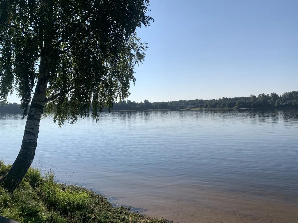 Аренда дома на Неве в 30 минутах от Петербурга в Песках