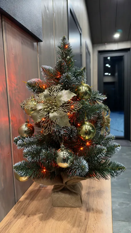 Коттедж Стильный дом в лесу с камином и купелью — Борисово