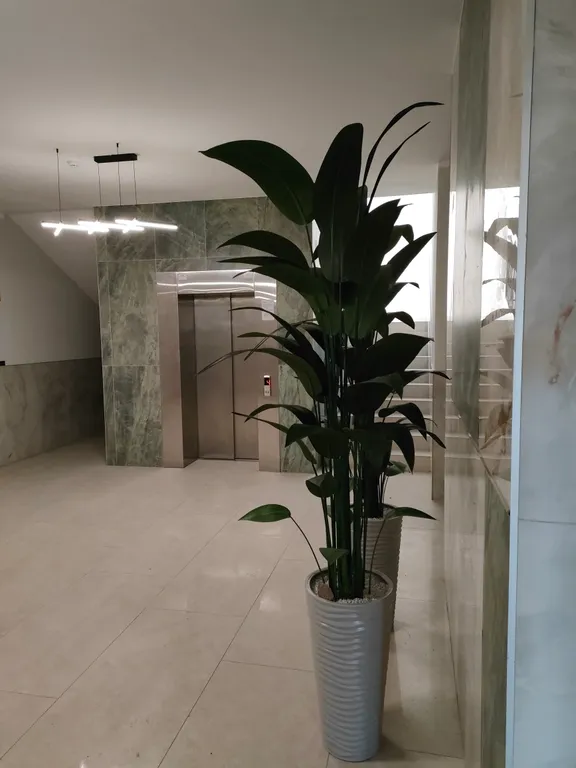 Квартира Квартира Тихая гавань у моря — Светлогорск