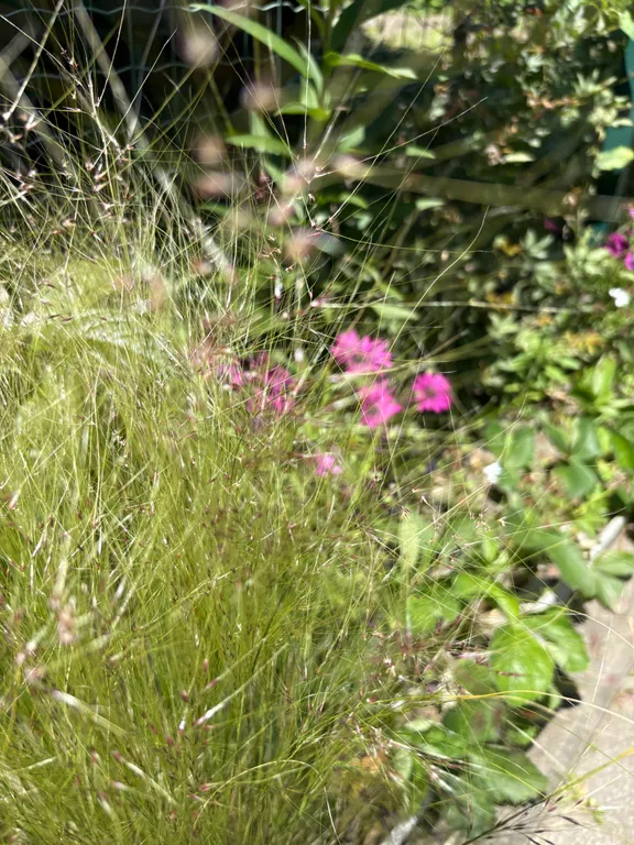 Таунхаус в самом лучшем районе