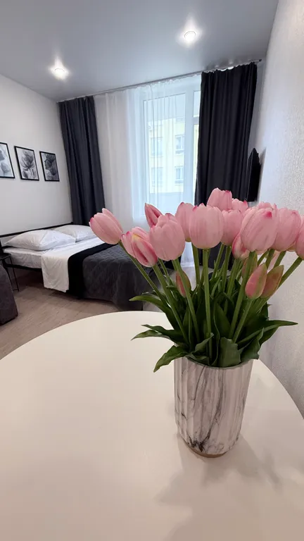 Просторная студия с двумя спальными местами