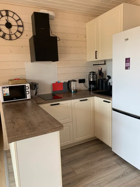 Коттедж Уютный современный дом в сосновом лесу у озера — Запорожское