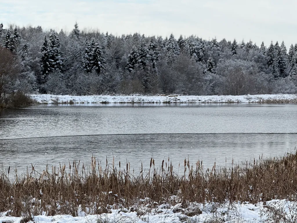 Дом для семейного отпуска