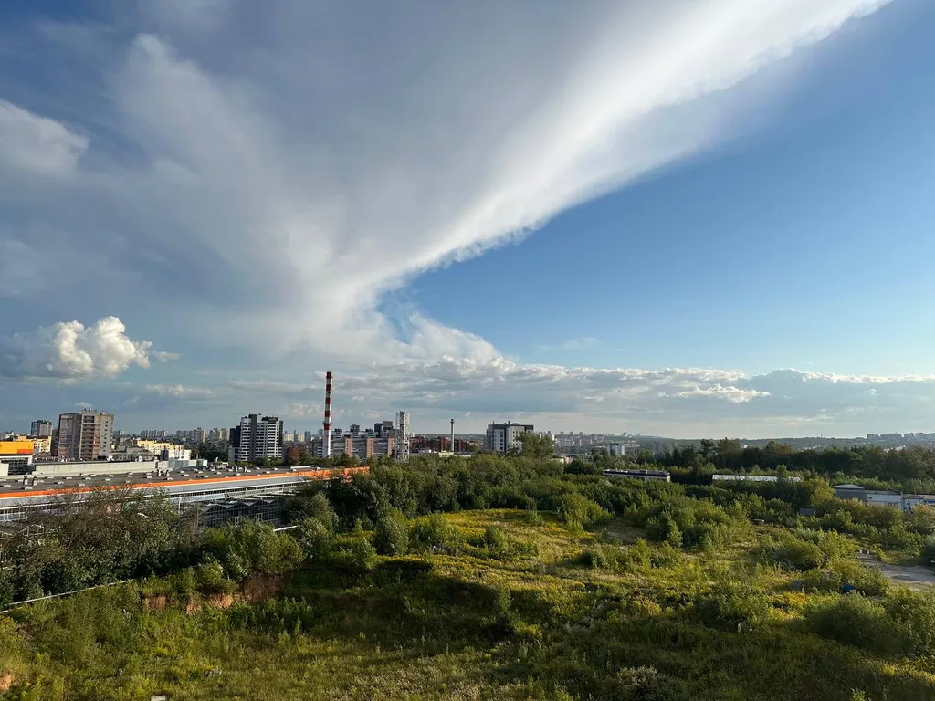 ДзенХоум Характер