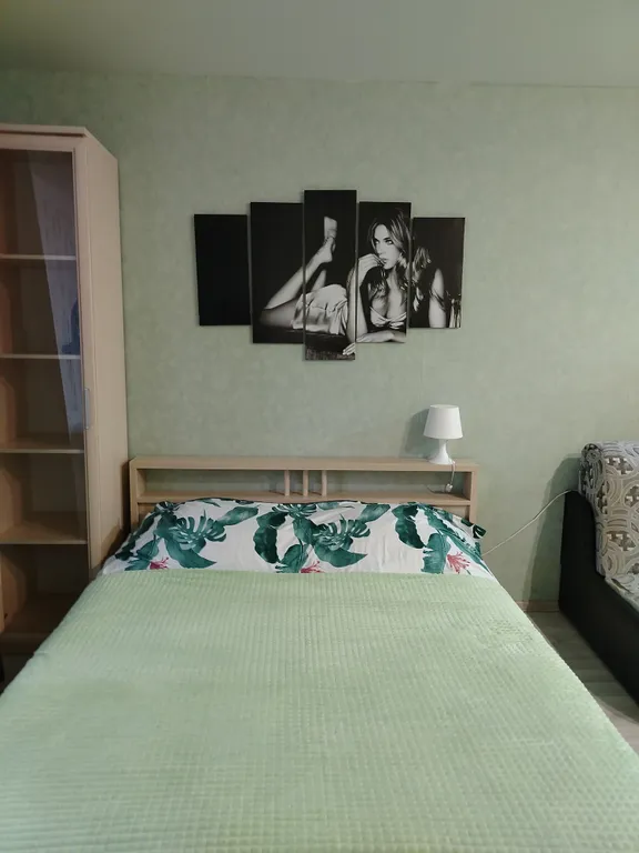 Уютная студия рядом с центром города Ногинск