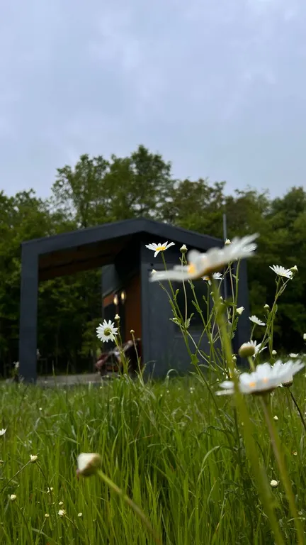 Домик в лесу