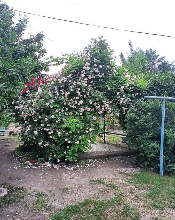 Уютная квартира в центре города рядом с парком