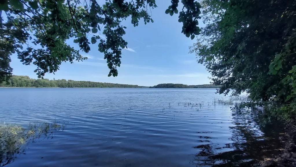 Дом на берегу Валдайского озера