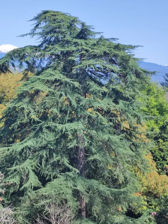 Квартира Квартира Студия в Парке — Адлер