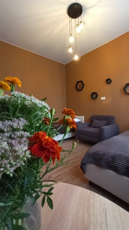 Уютный апартамент в исторической части города