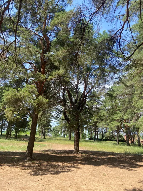 Барн-дача дом с сауной и камином для отдыха вашей души