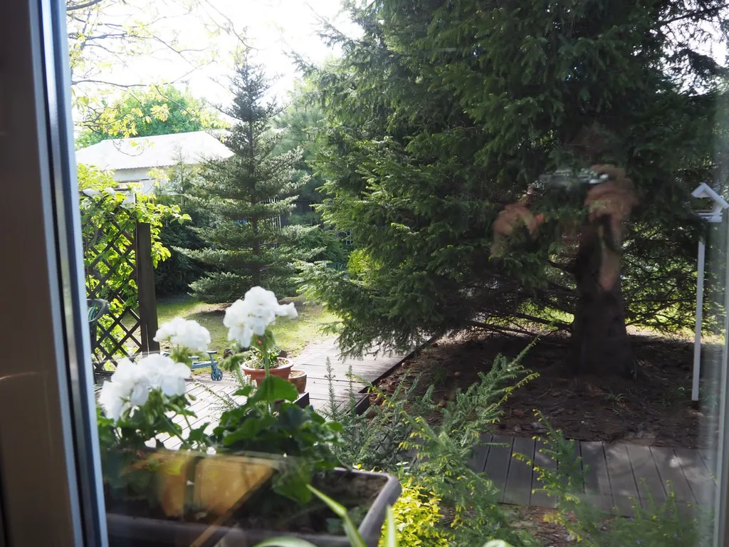 Коттедж Эмилия Краузе в историческом районе Амалиенау