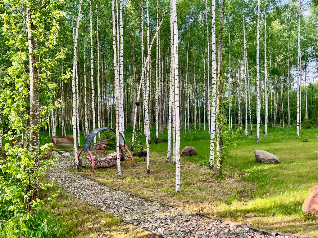 Уютный дом в лесном массиве недалеко от реки