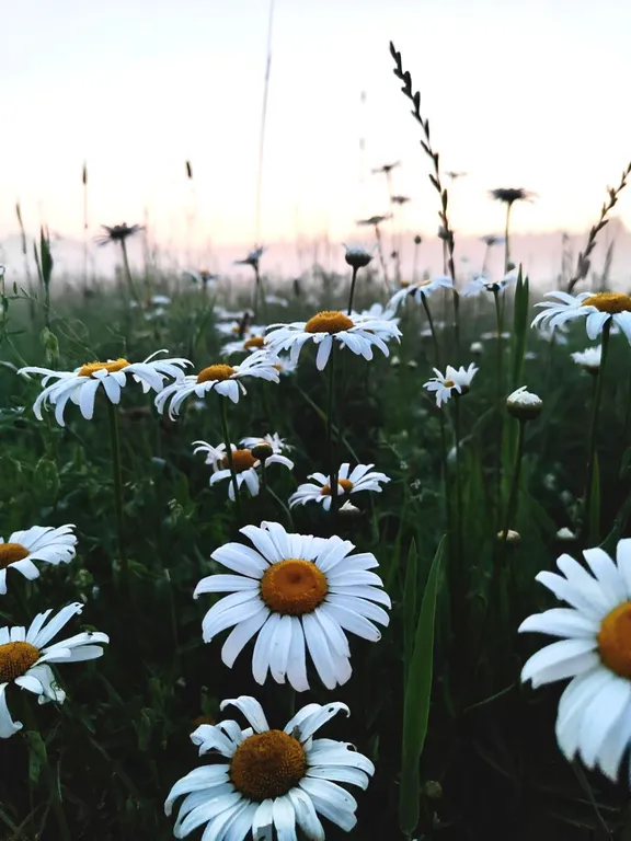 Гостевой дом №3 на берегу Волги