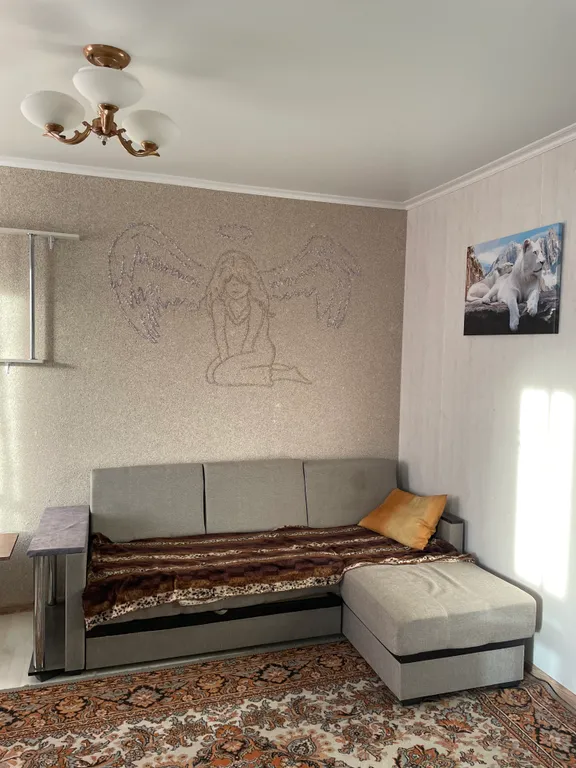 Квартира в центре левого берега в элитном районе города — аренда посуточно в Омск