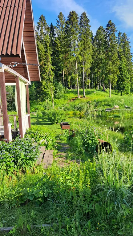 Коттедж Экодомик у реки — Сясьстрой