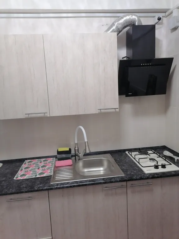 Уютная однокомнатная квартира в центре города