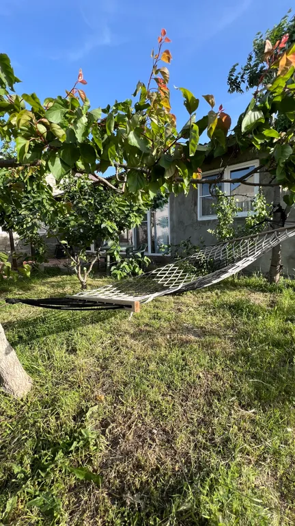 Дом прованс в саду