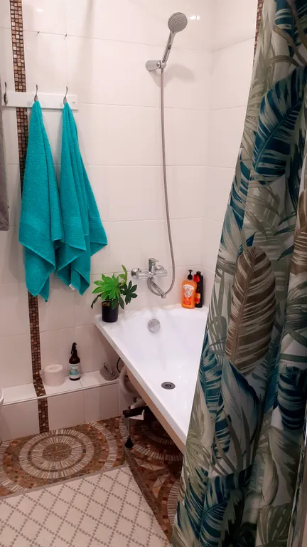 Скандинавская