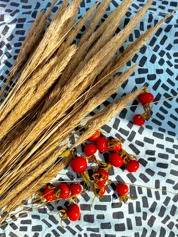 Квартира Квартира Апартамент Orange — Светлогорск