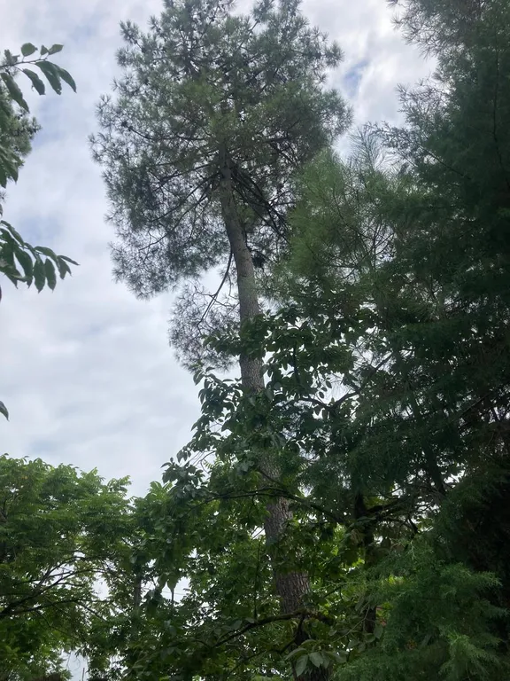 Дом для большой такой компании