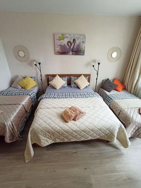 Уютная квартира возле метро Некрасовка