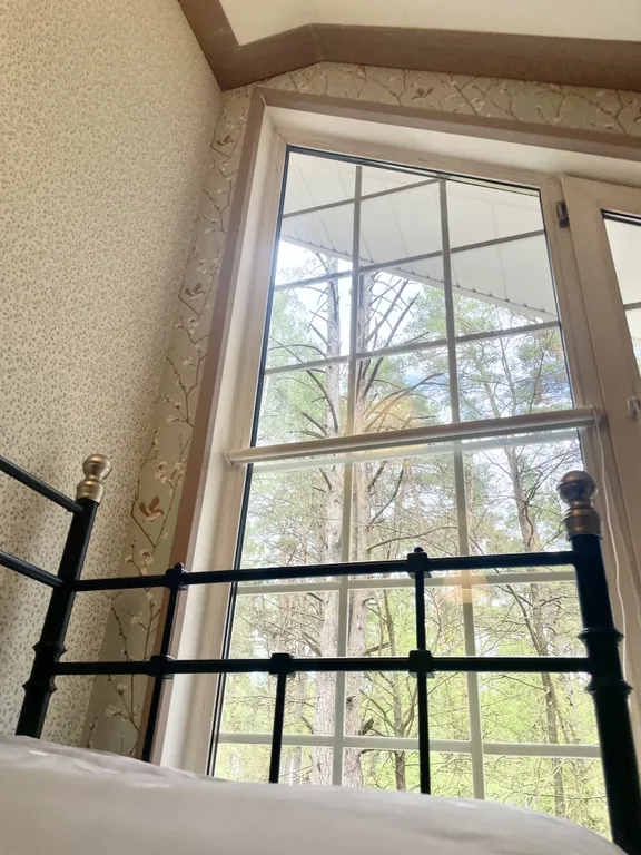 Уютный бревенчатый дом в сосновом бору