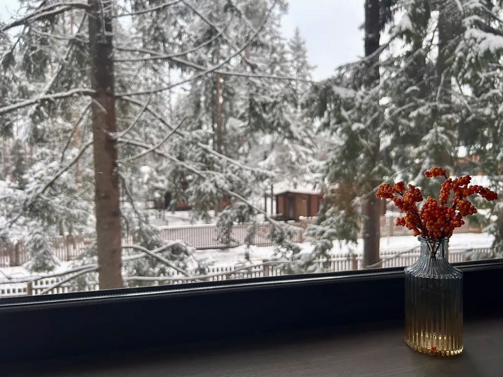 Коттедж у курорта Охта Парк