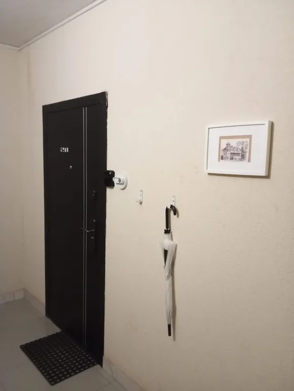 Двухкомнатная квартира Арт в Светлогорске 2  в 750 м от моря