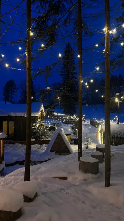 Коттедж Дом Огава — Стеклянный