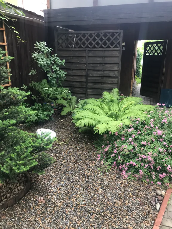 Гостевой дом в центральной части города. Тихо и уютно