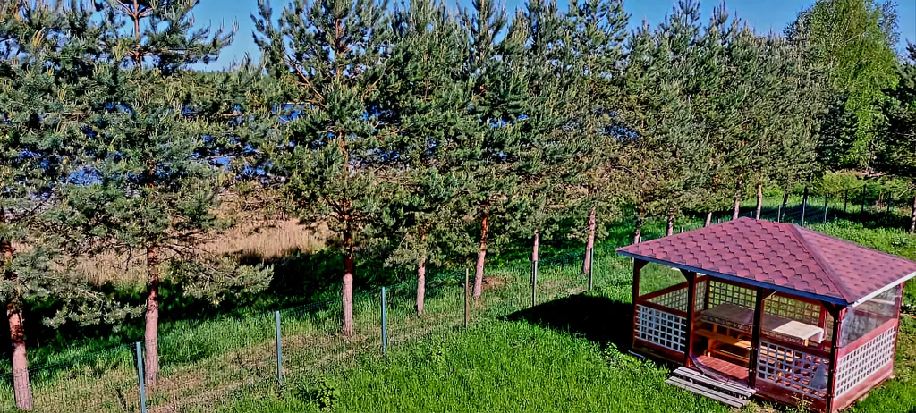 Деревенский дом в окружении леса на берегу озера