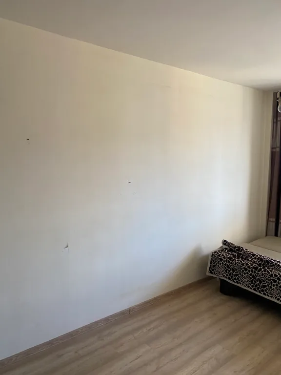 В лесной тиши